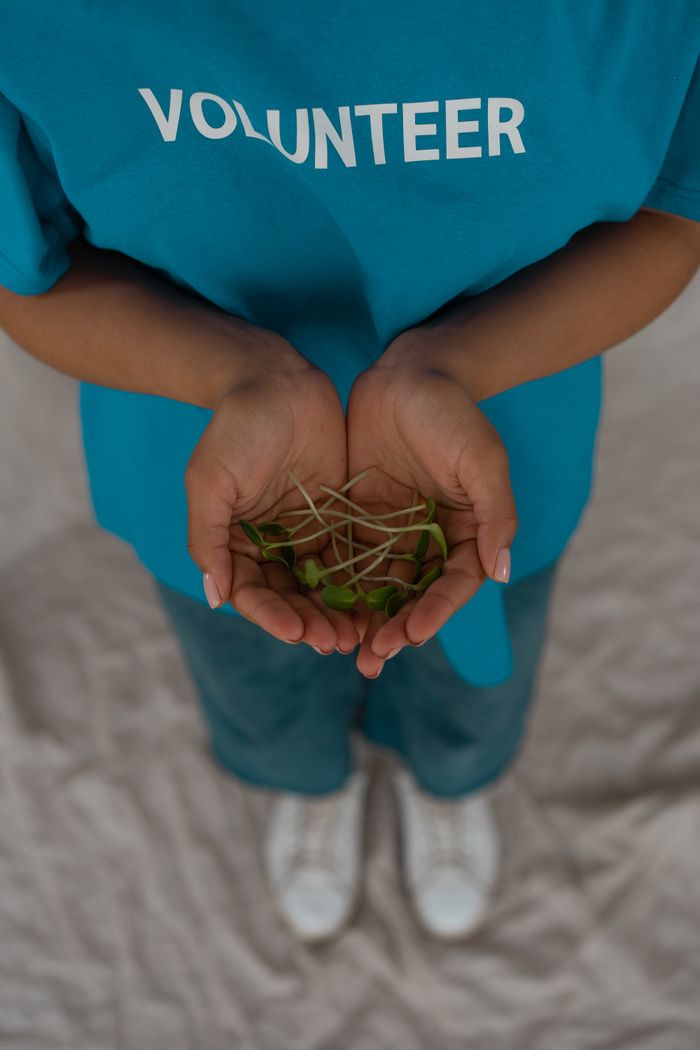 Services Person wearing a blue volunteer shirt holds green seedlings in cupped hands, symbolizing growth and service.